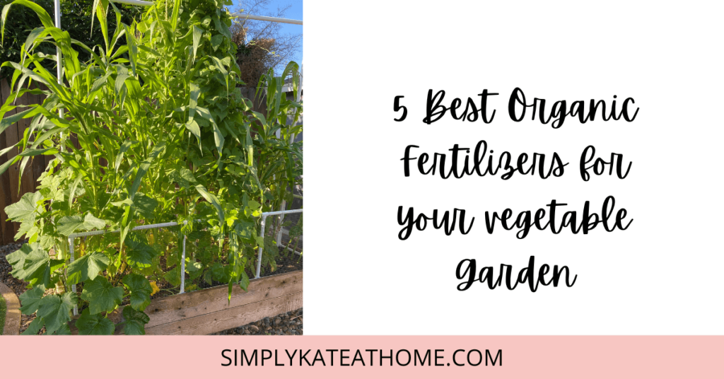 best organic fertilizers for your vegetable garden