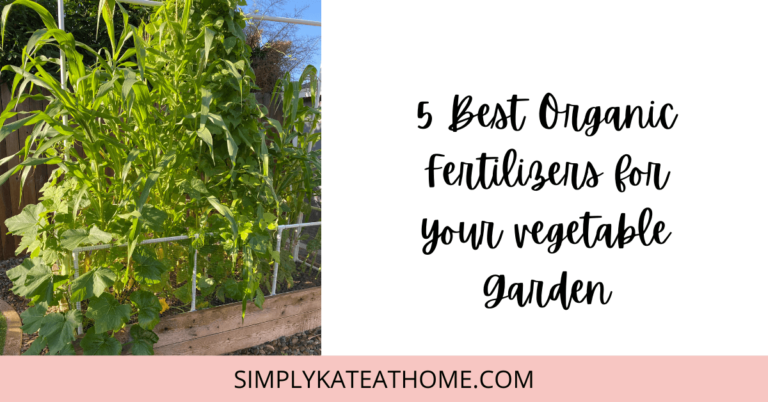 5 Best Organic Fertilizers For Your Vegetable Garden