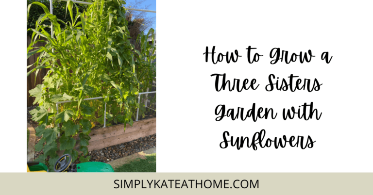 How to Grow a Three Sisters Garden with Sunflowers